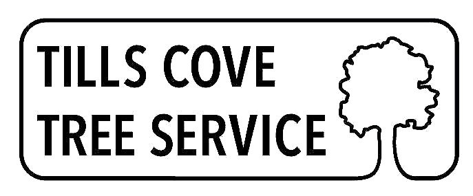 TILLS COVE TREE SERVICE